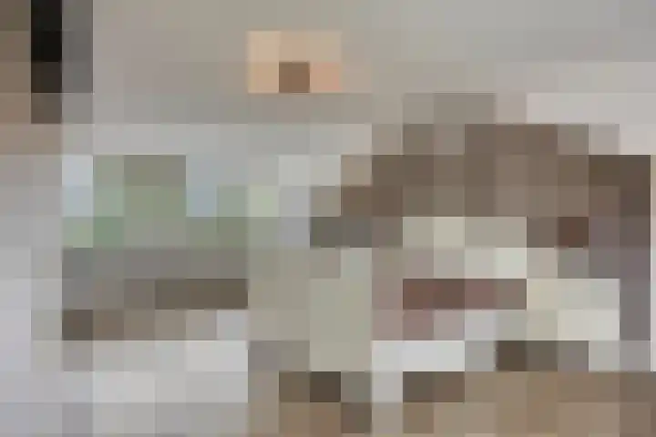 5 Mei-Straat 15 Zoetermeer thumbnail 34