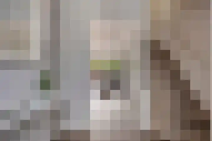 5 Mei-Straat 15 Zoetermeer thumbnail 4