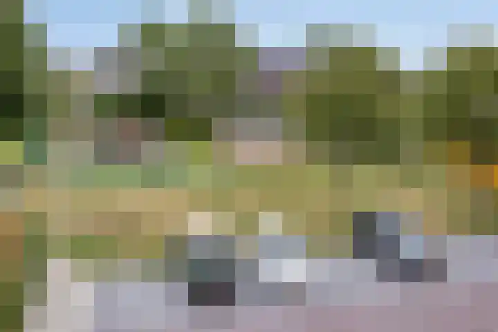 5 Mei-Straat 15 Zoetermeer thumbnail 41