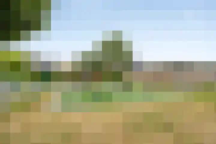 5 Mei-Straat 15 Zoetermeer thumbnail 43