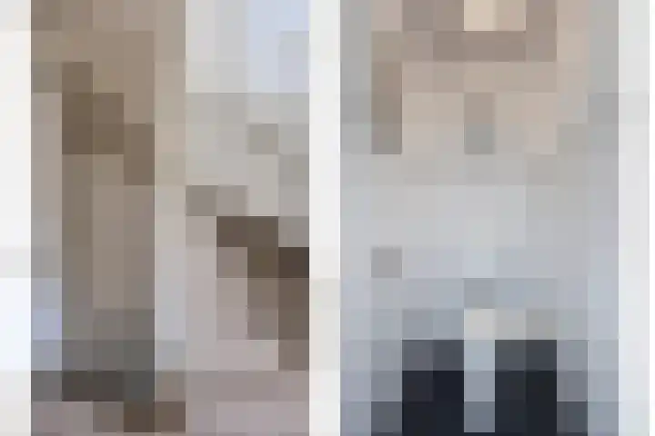 5 Mei-Straat 15 Zoetermeer thumbnail 46