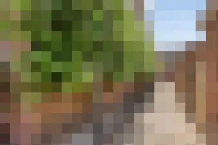 5 Mei-Straat 15 Zoetermeer thumbnail 47