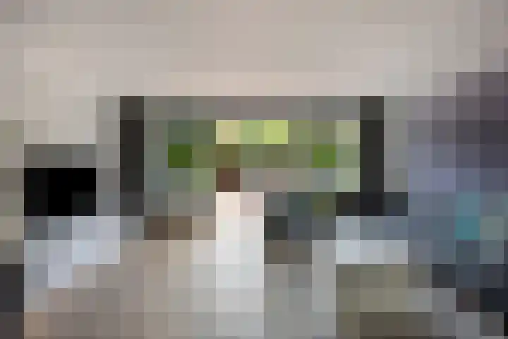 5 Mei-Straat 15 Zoetermeer thumbnail 6