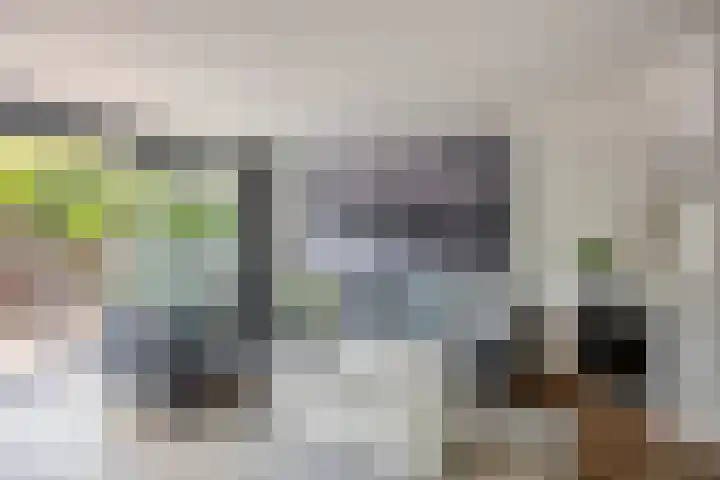 5 Mei-Straat 15 Zoetermeer thumbnail 7