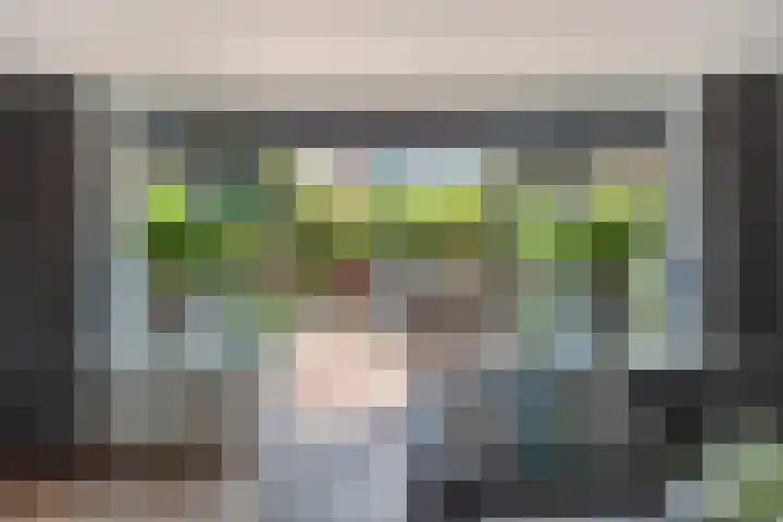5 Mei-Straat 15 Zoetermeer thumbnail 8