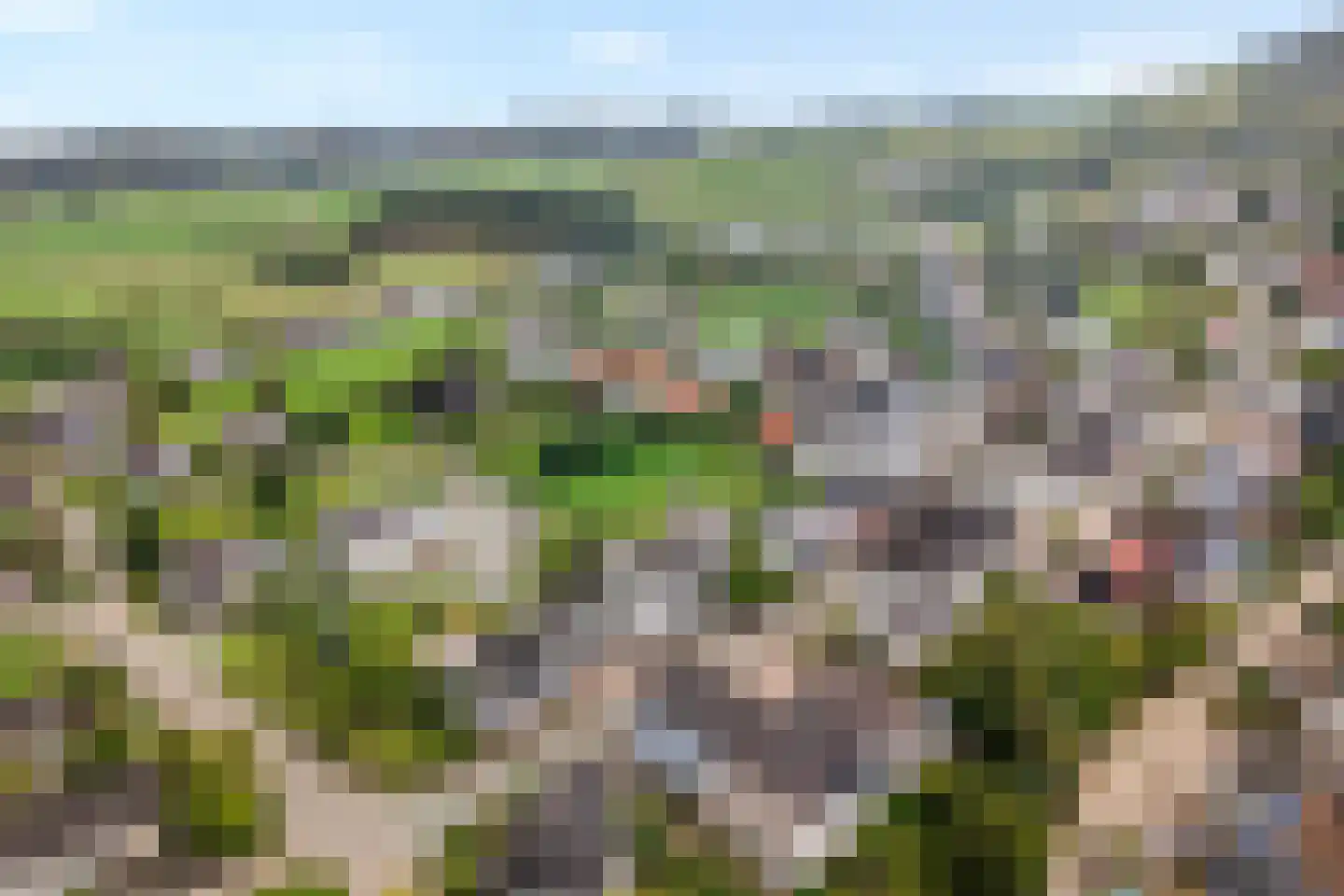 5 Meilaan 5 Zoeterwoude thumbnail 10
