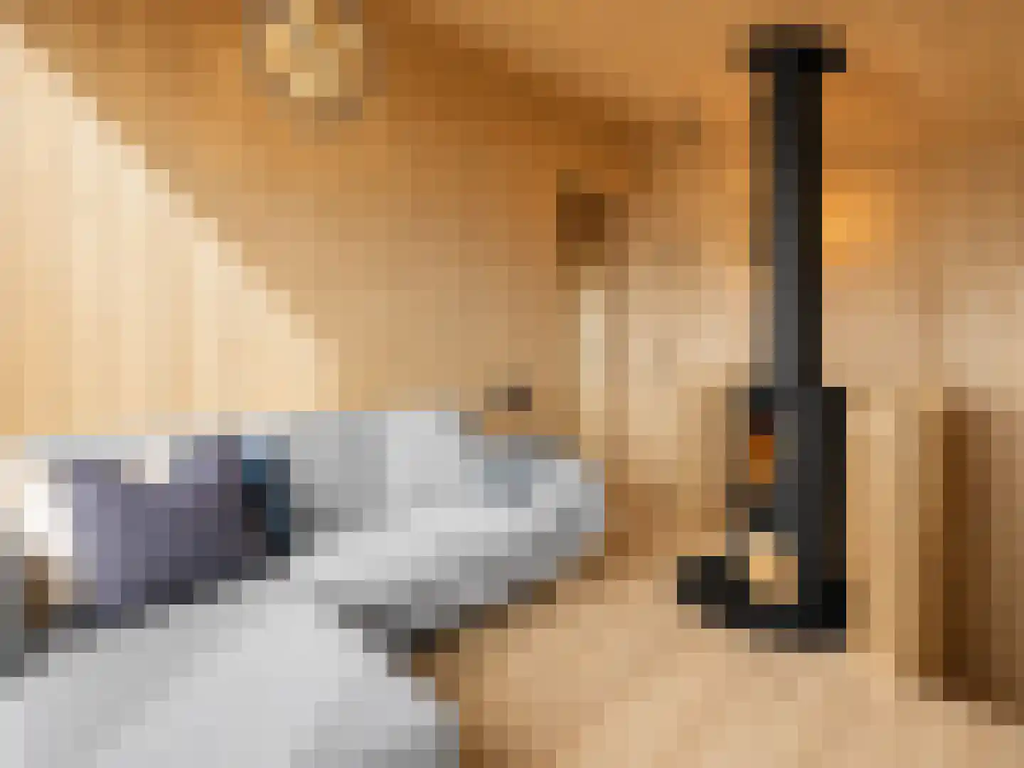 5 Meilaan 5 Zoeterwoude thumbnail 10