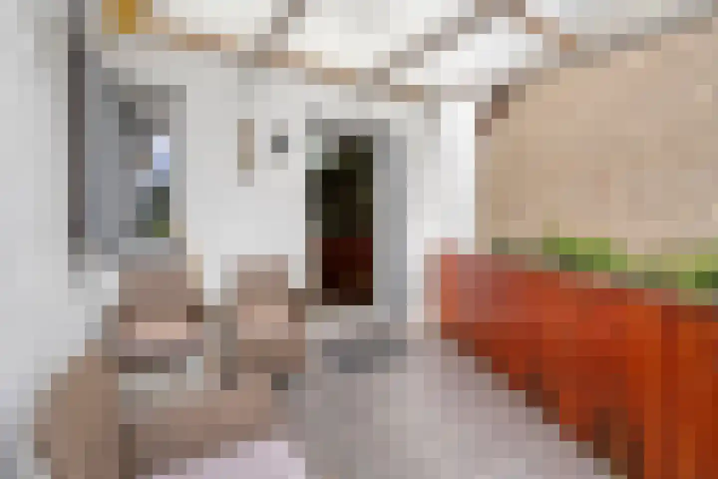 5 Meilaan 5 Zoeterwoude thumbnail 107