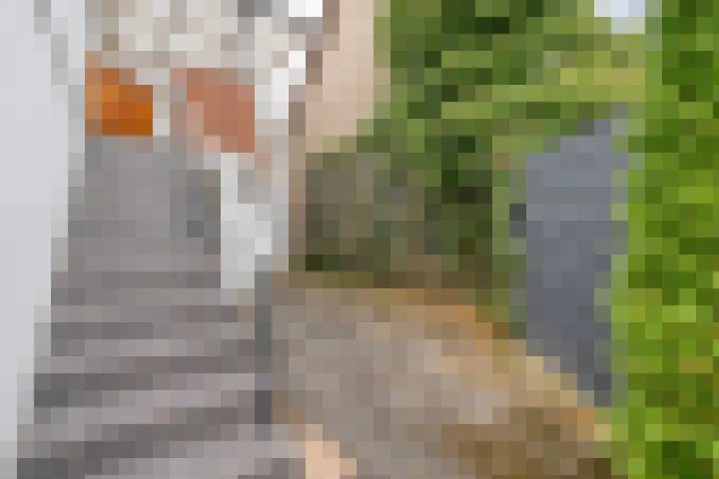 5 Meilaan 5 Zoeterwoude thumbnail 109