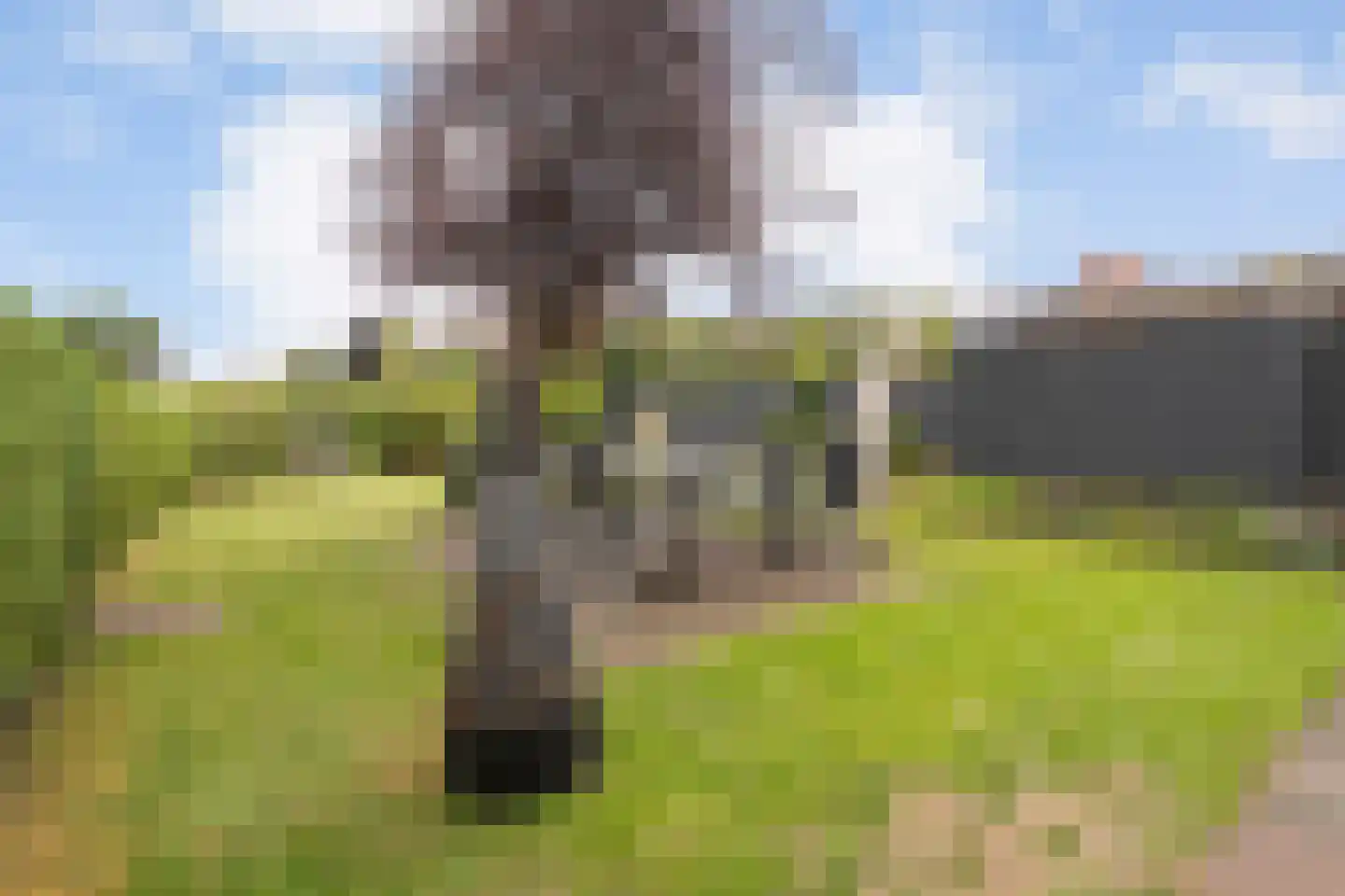 5 Meilaan 5 Zoeterwoude thumbnail 110