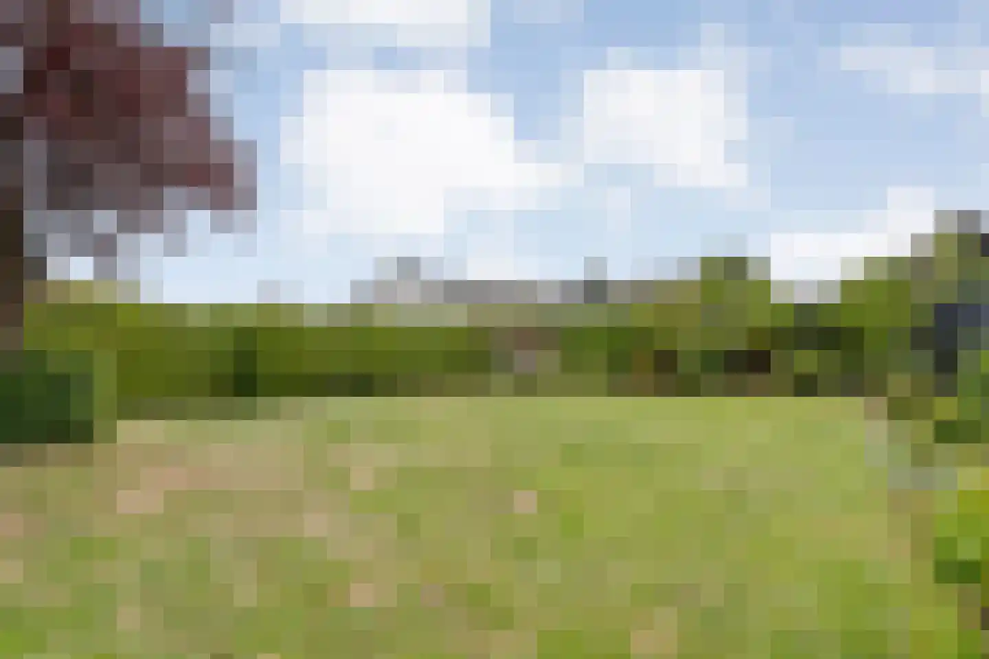 5 Meilaan 5 Zoeterwoude thumbnail 113