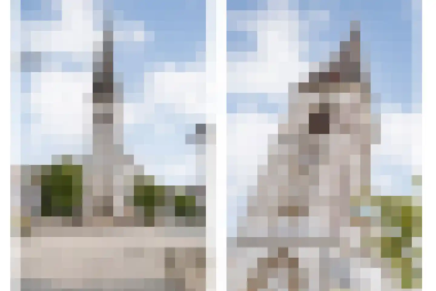 5 Meilaan 5 Zoeterwoude thumbnail 117