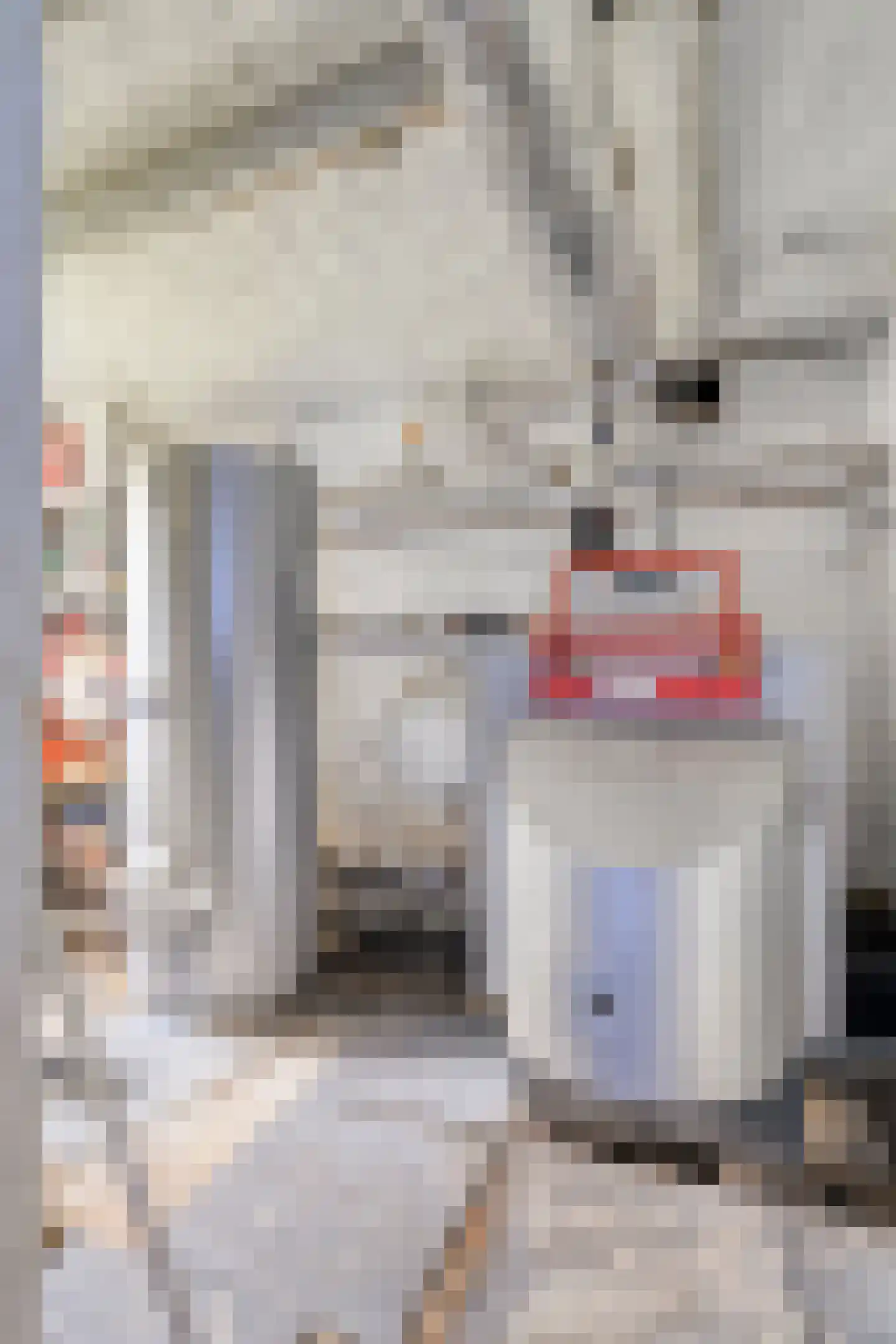 5 Meilaan 5 Zoeterwoude thumbnail 125