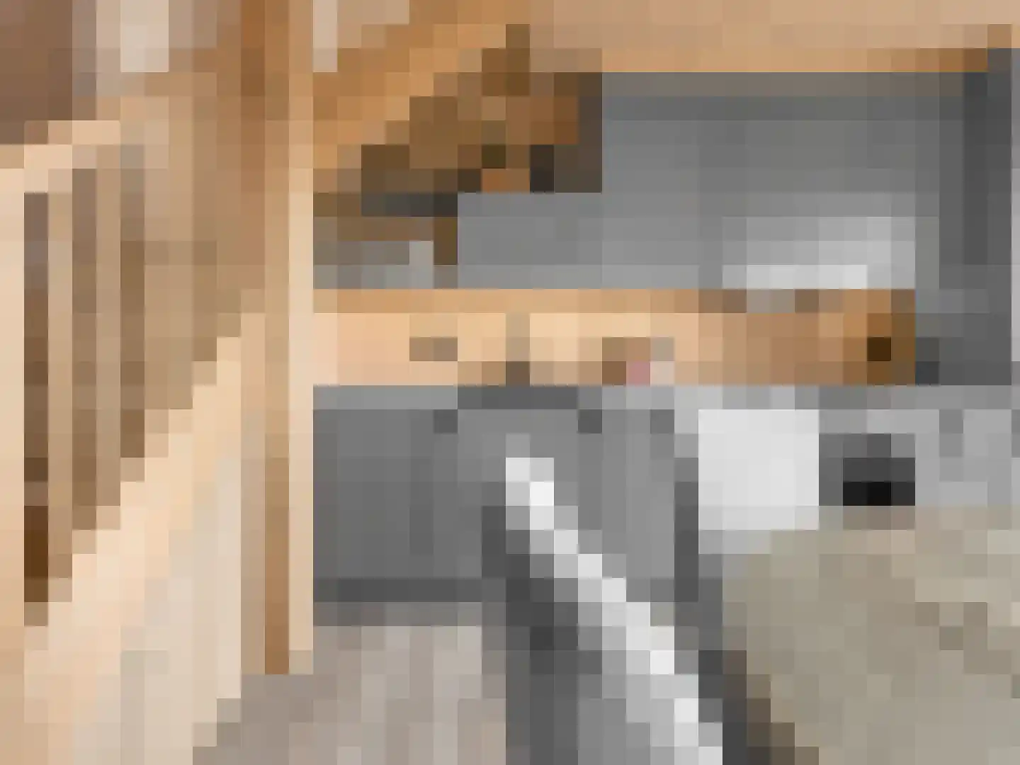 5 Meilaan 5 Zoeterwoude thumbnail 13