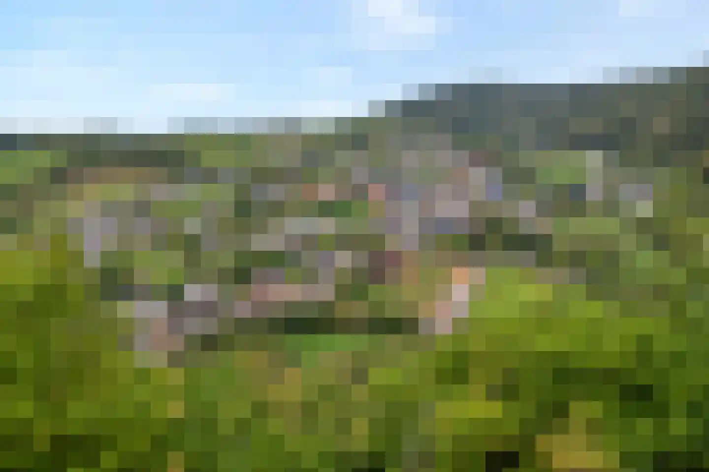 5 Meilaan 5 Zoeterwoude thumbnail 13