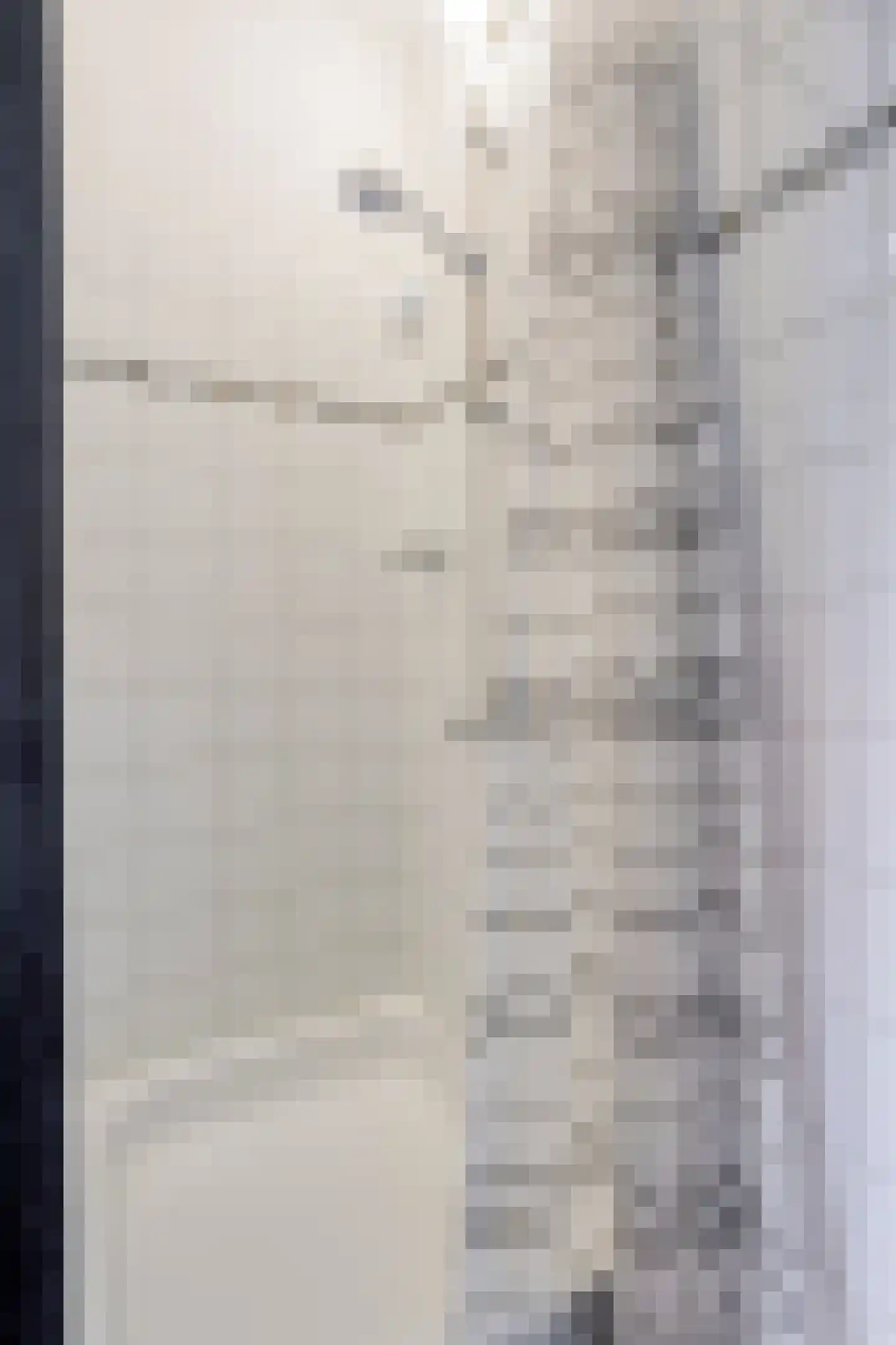5 Meilaan 5 Zoeterwoude thumbnail 136