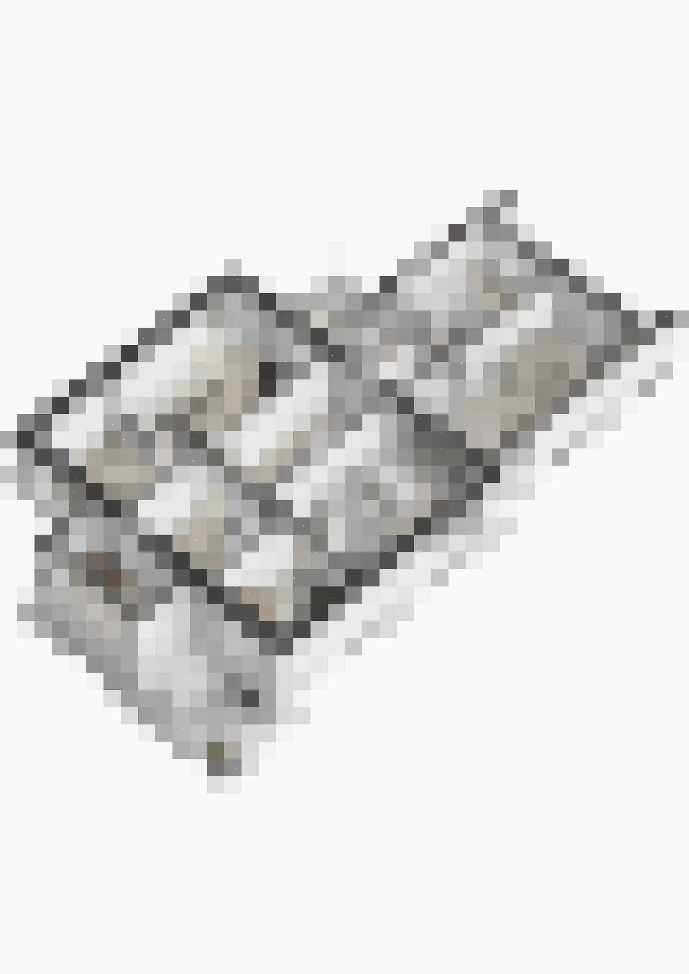 5 Meilaan 5 Zoeterwoude thumbnail 141