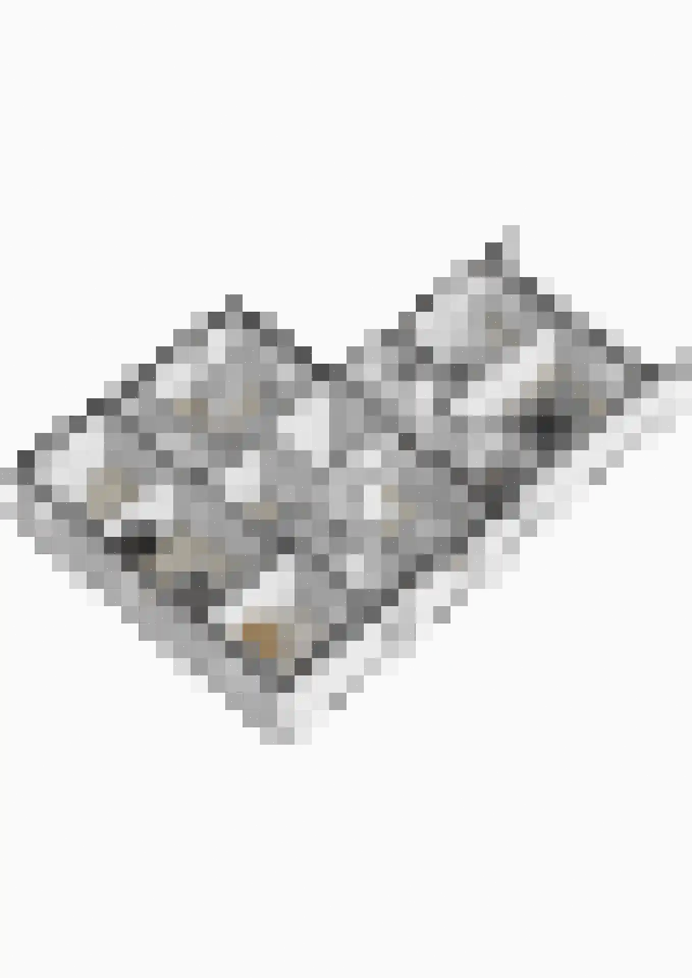 5 Meilaan 5 Zoeterwoude thumbnail 144