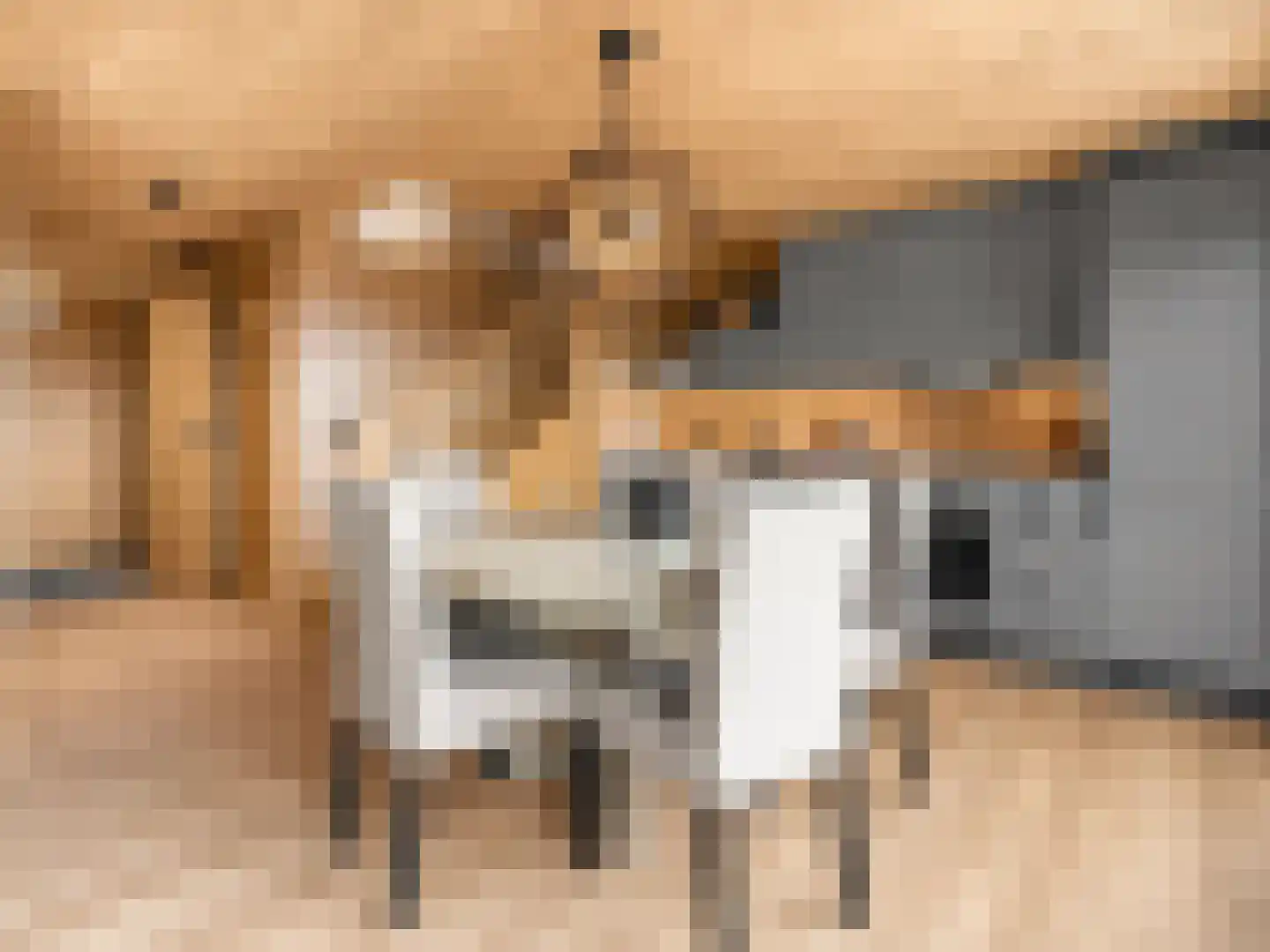 5 Meilaan 5 Zoeterwoude thumbnail 16