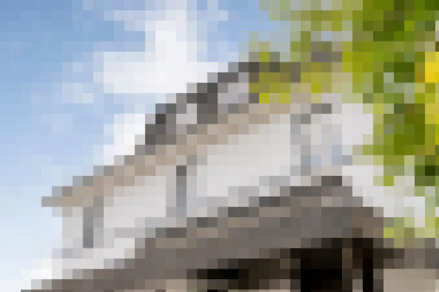 5 Meilaan 5 Zoeterwoude thumbnail 17