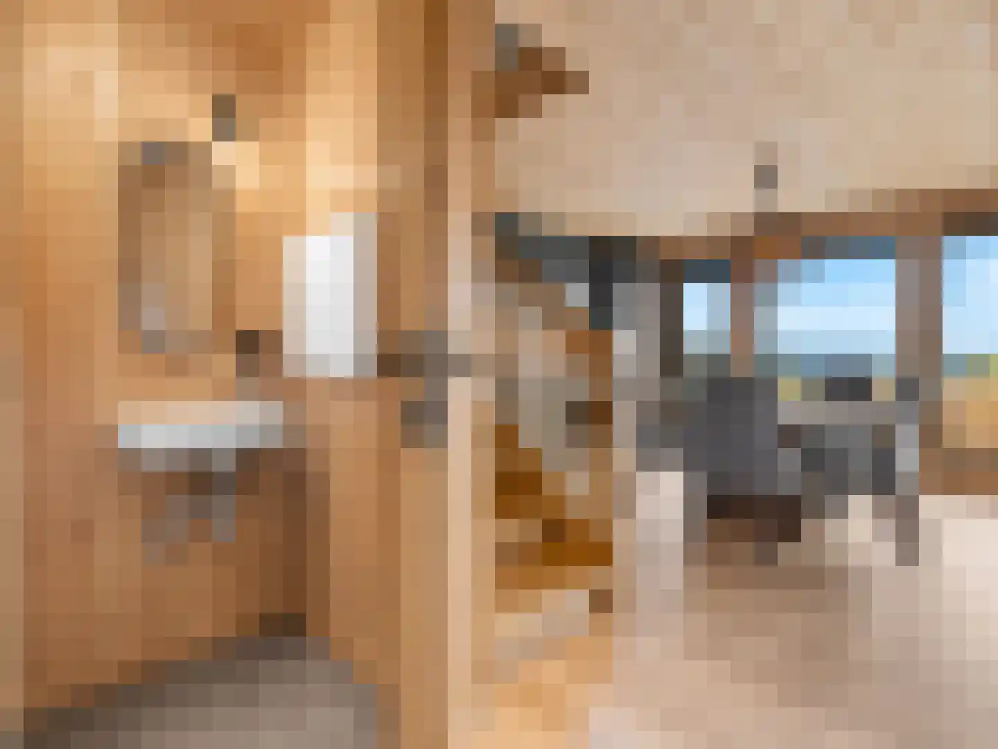 5 Meilaan 5 Zoeterwoude thumbnail 17