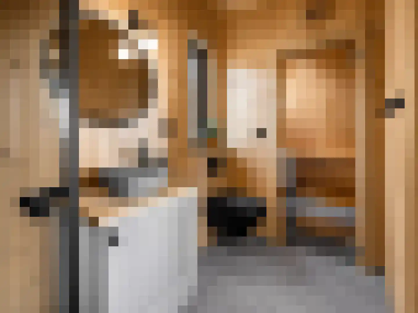 5 Meilaan 5 Zoeterwoude thumbnail 19