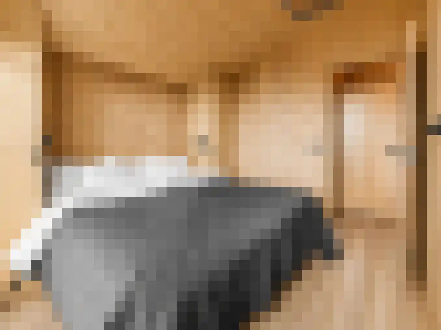 5 Meilaan 5 Zoeterwoude thumbnail 22
