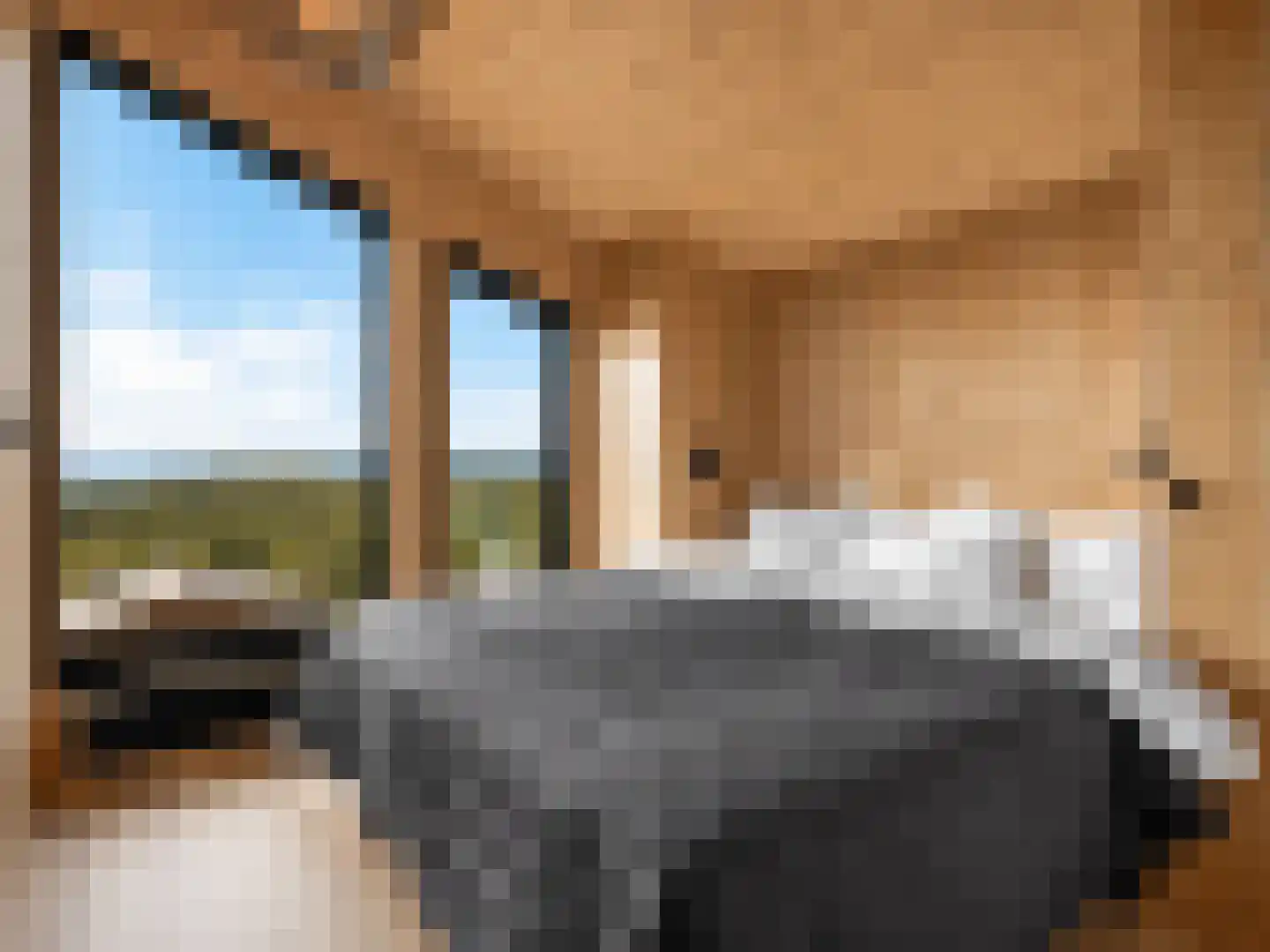 5 Meilaan 5 Zoeterwoude thumbnail 23