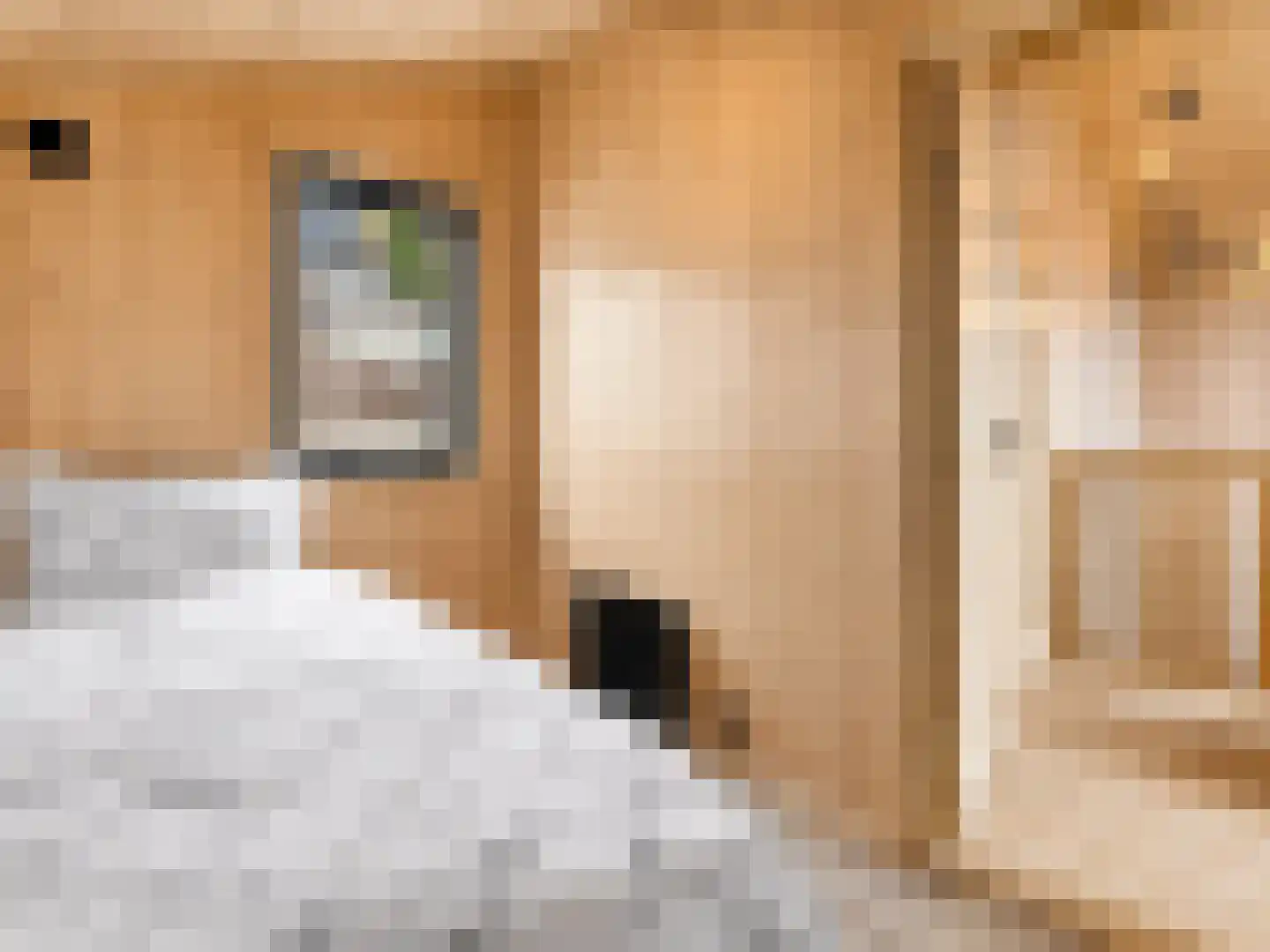 5 Meilaan 5 Zoeterwoude thumbnail 24