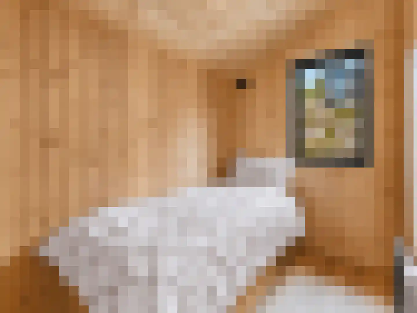 5 Meilaan 5 Zoeterwoude thumbnail 25