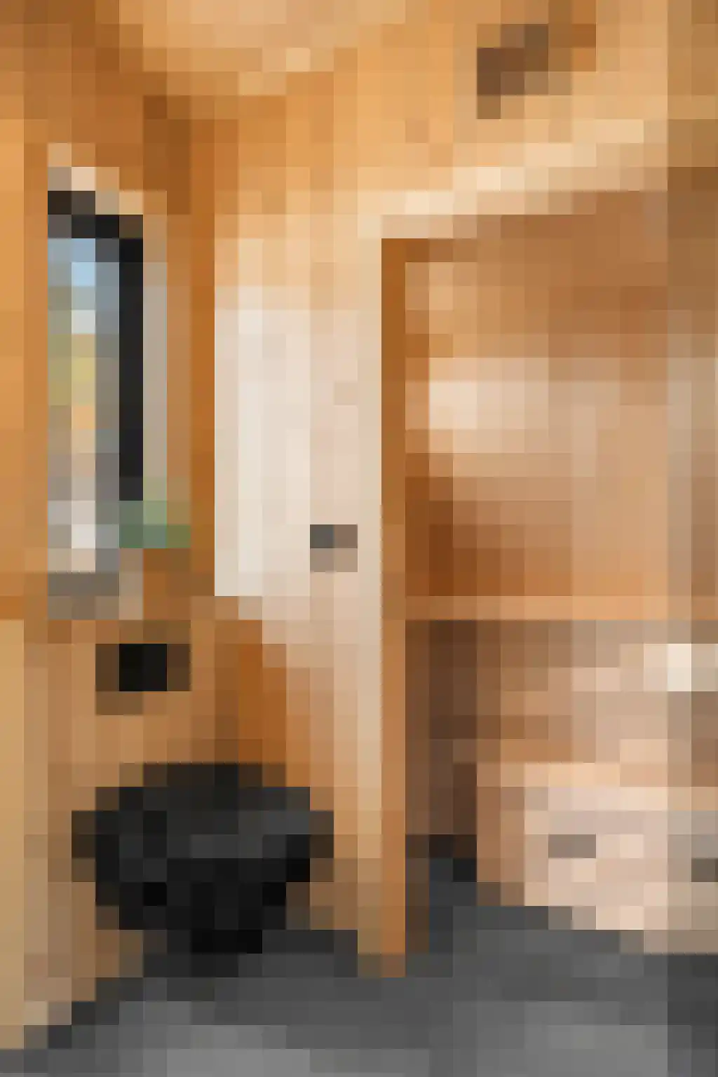 5 Meilaan 5 Zoeterwoude thumbnail 27