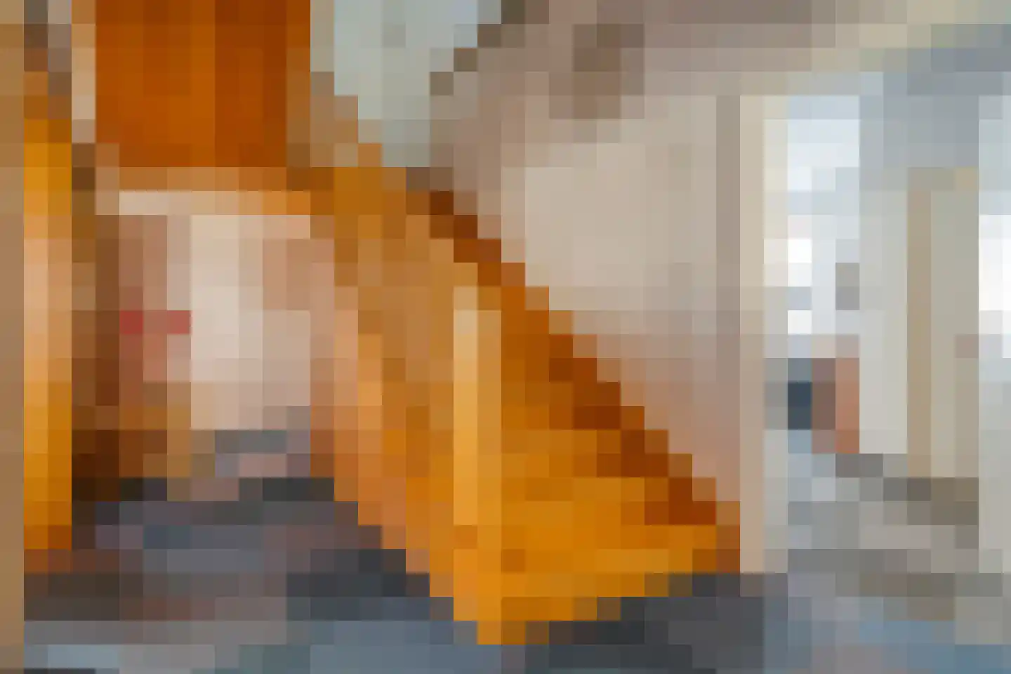 5 Meilaan 5 Zoeterwoude thumbnail 28