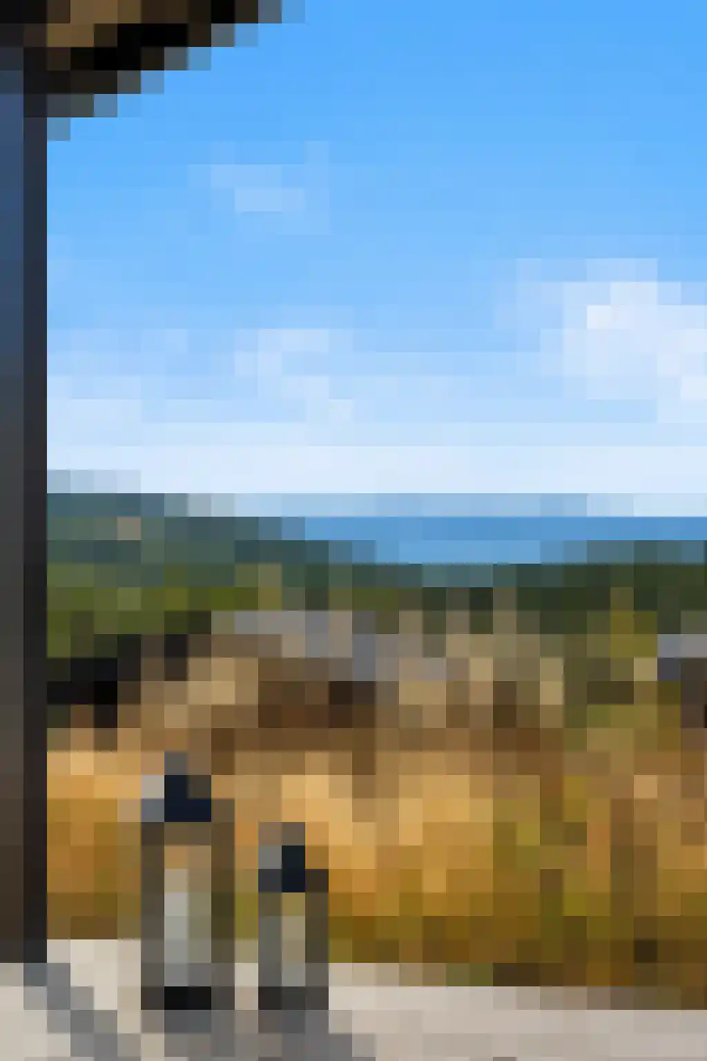 5 Meilaan 5 Zoeterwoude thumbnail 28