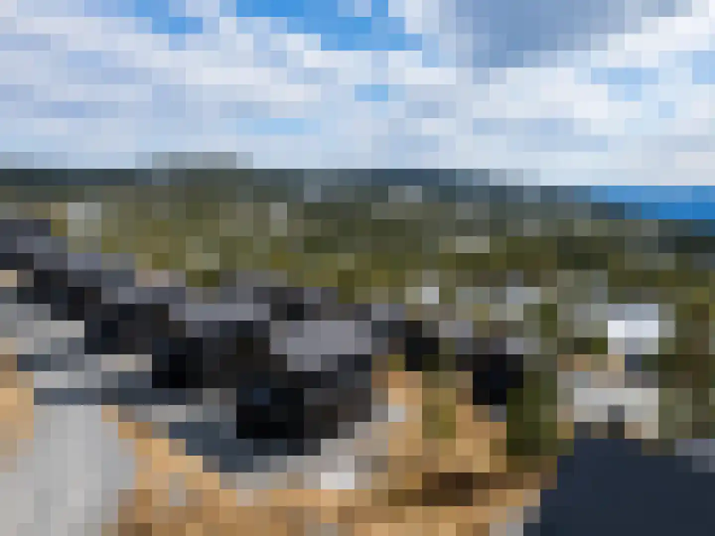5 Meilaan 5 Zoeterwoude thumbnail 32