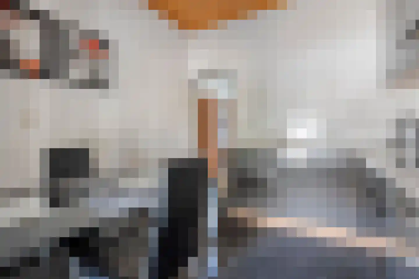5 Meilaan 5 Zoeterwoude thumbnail 33