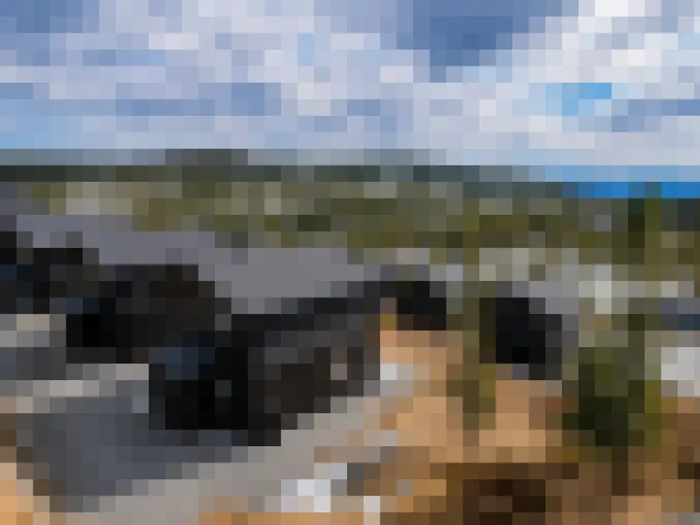 5 Meilaan 5 Zoeterwoude thumbnail 33