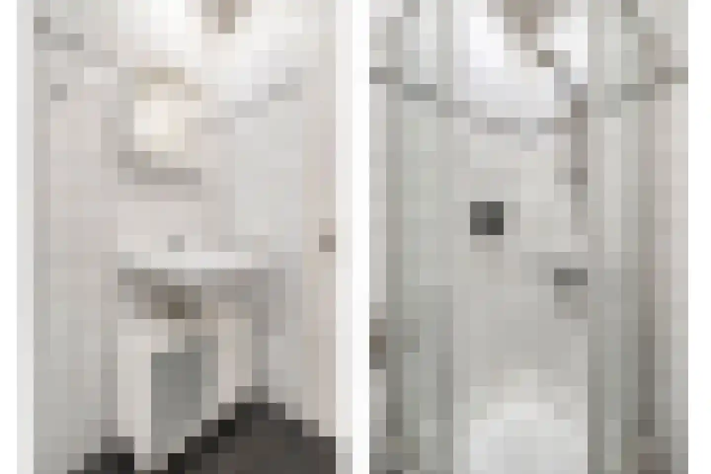 5 Meilaan 5 Zoeterwoude thumbnail 35
