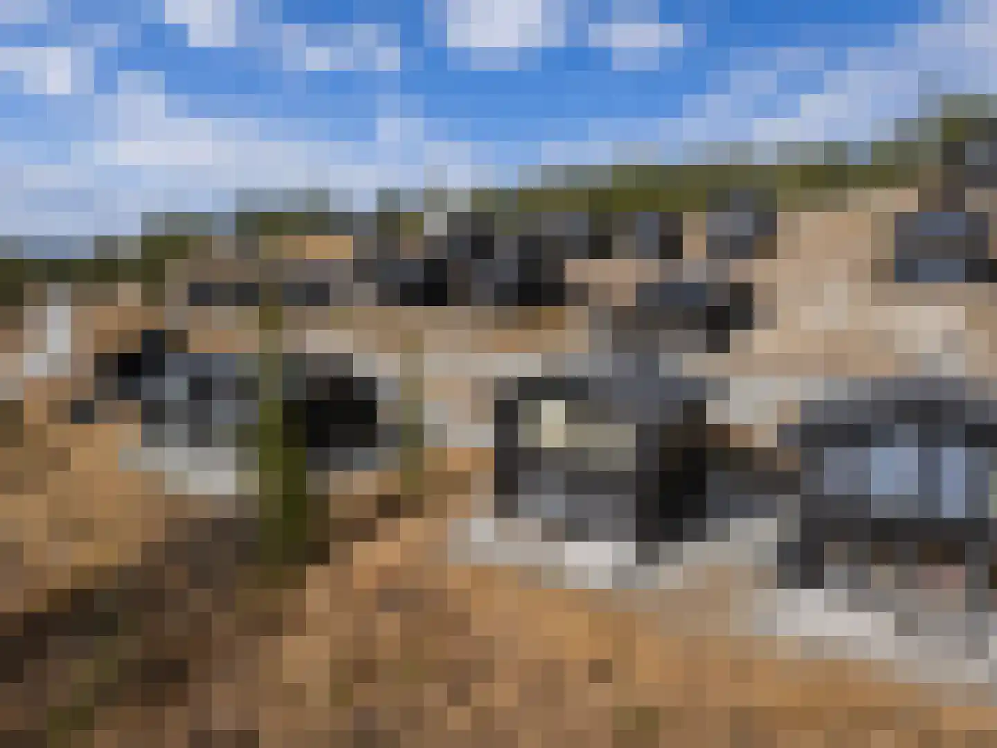 5 Meilaan 5 Zoeterwoude thumbnail 36