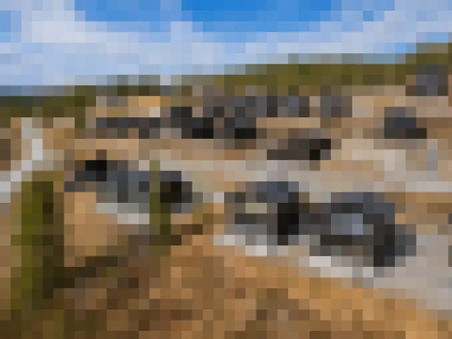 5 Meilaan 5 Zoeterwoude thumbnail 37