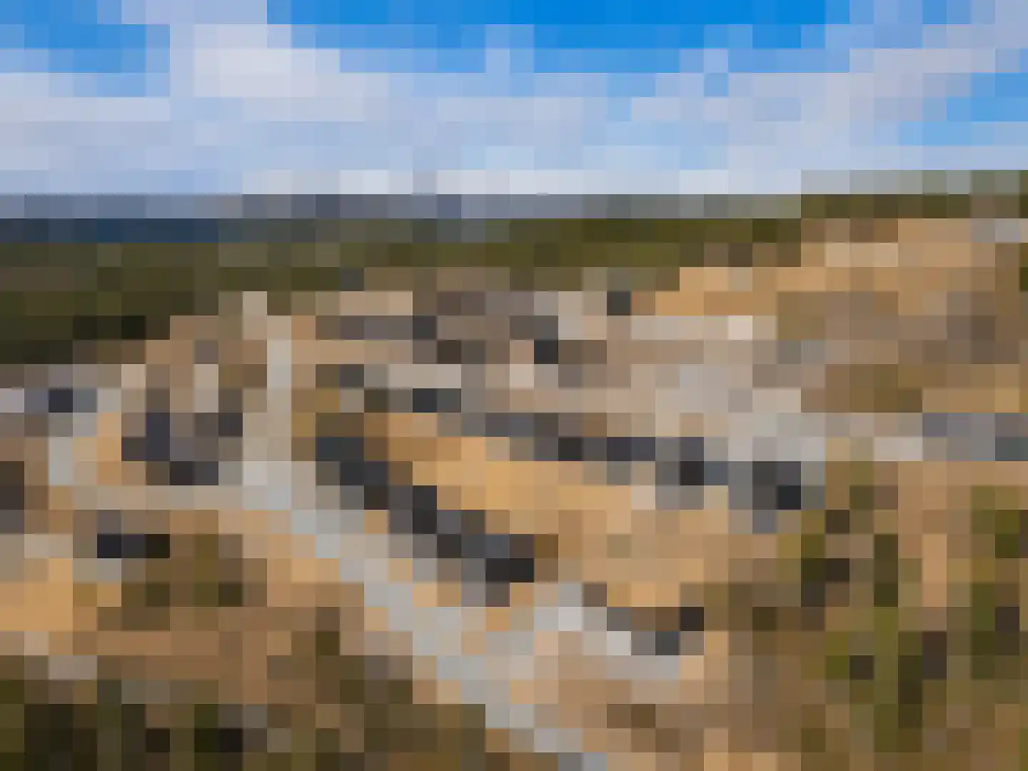 5 Meilaan 5 Zoeterwoude thumbnail 38