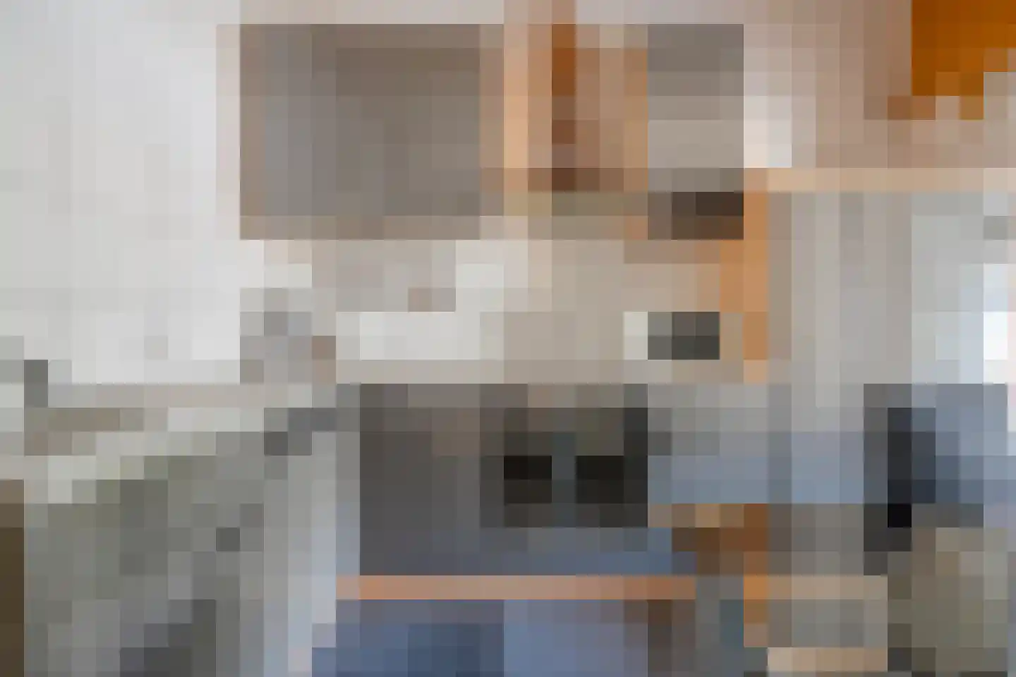 5 Meilaan 5 Zoeterwoude thumbnail 4