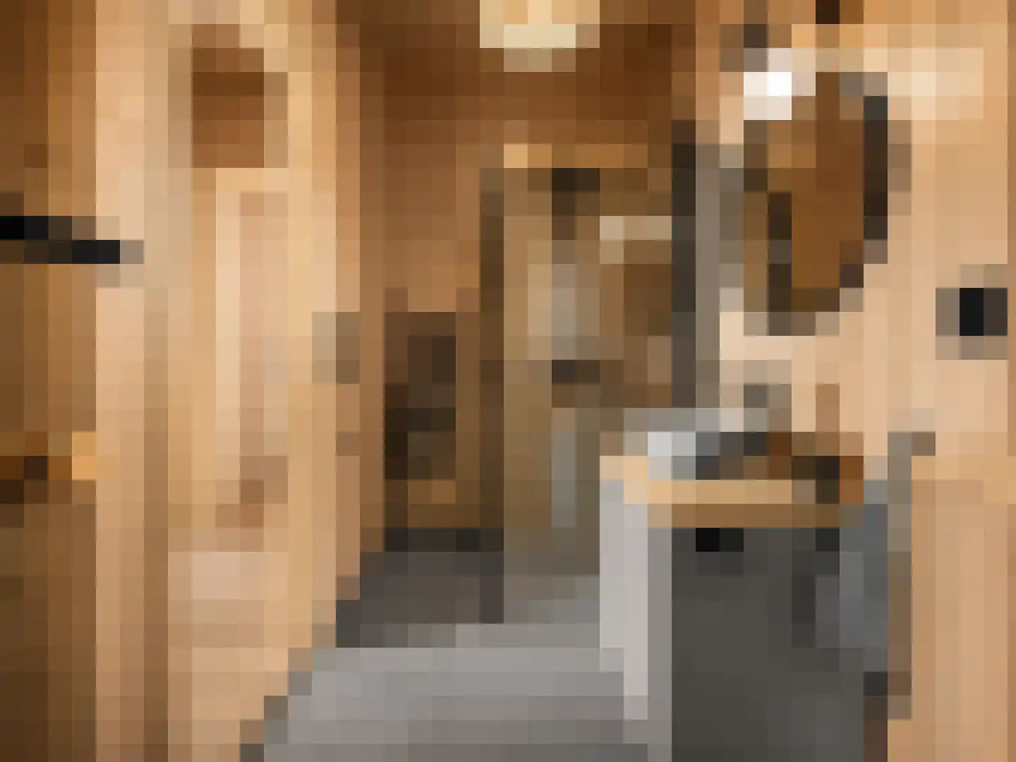 5 Meilaan 5 Zoeterwoude thumbnail 5