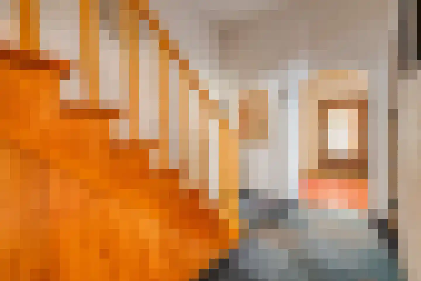 5 Meilaan 5 Zoeterwoude thumbnail 59