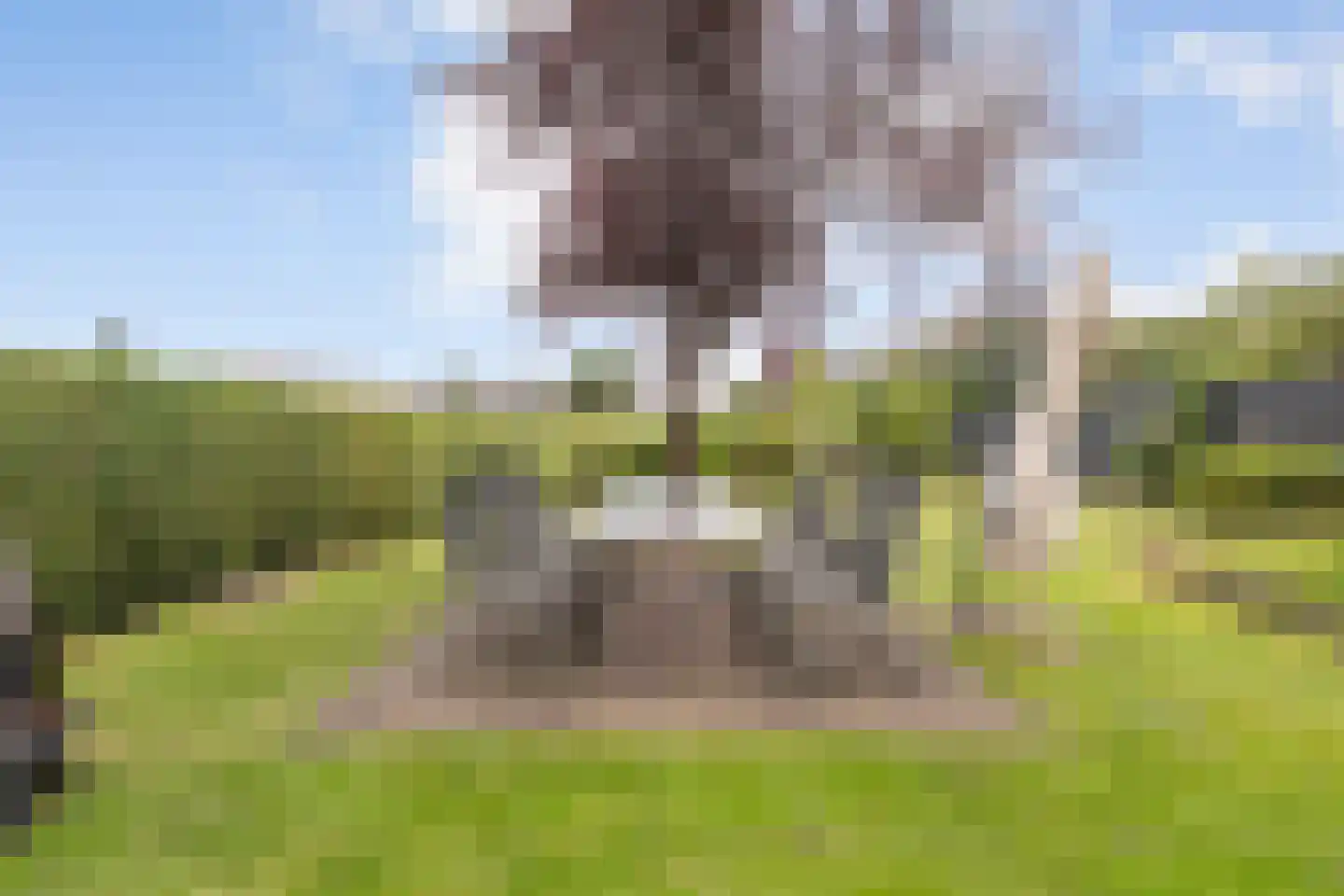 5 Meilaan 5 Zoeterwoude thumbnail 6