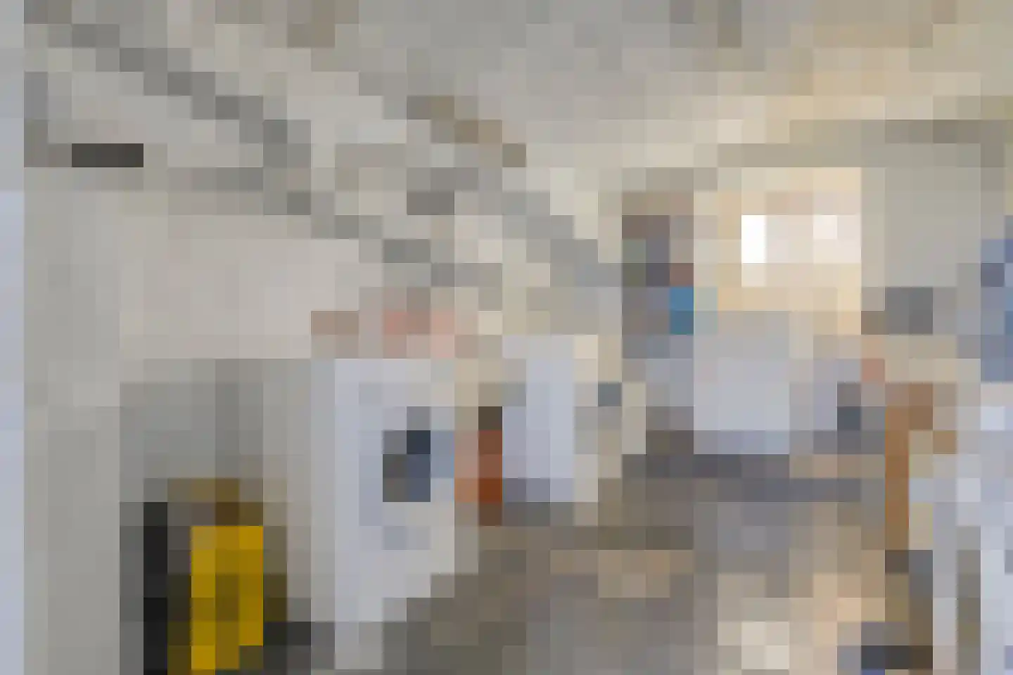 5 Meilaan 5 Zoeterwoude thumbnail 65