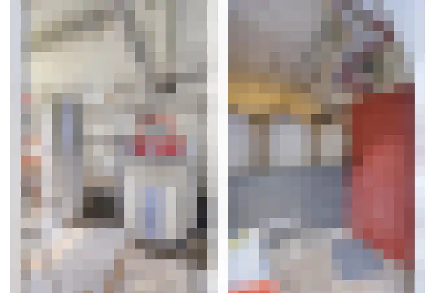 5 Meilaan 5 Zoeterwoude thumbnail 66