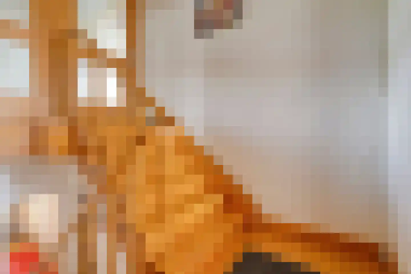 5 Meilaan 5 Zoeterwoude thumbnail 67