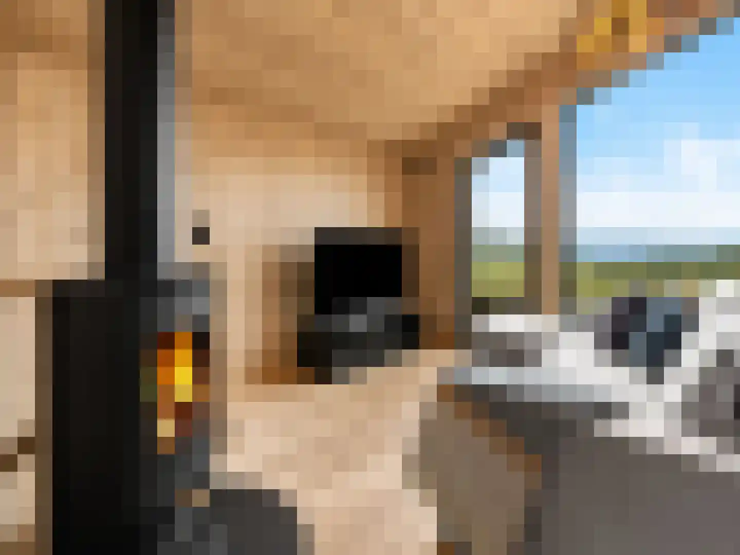 5 Meilaan 5 Zoeterwoude thumbnail 7