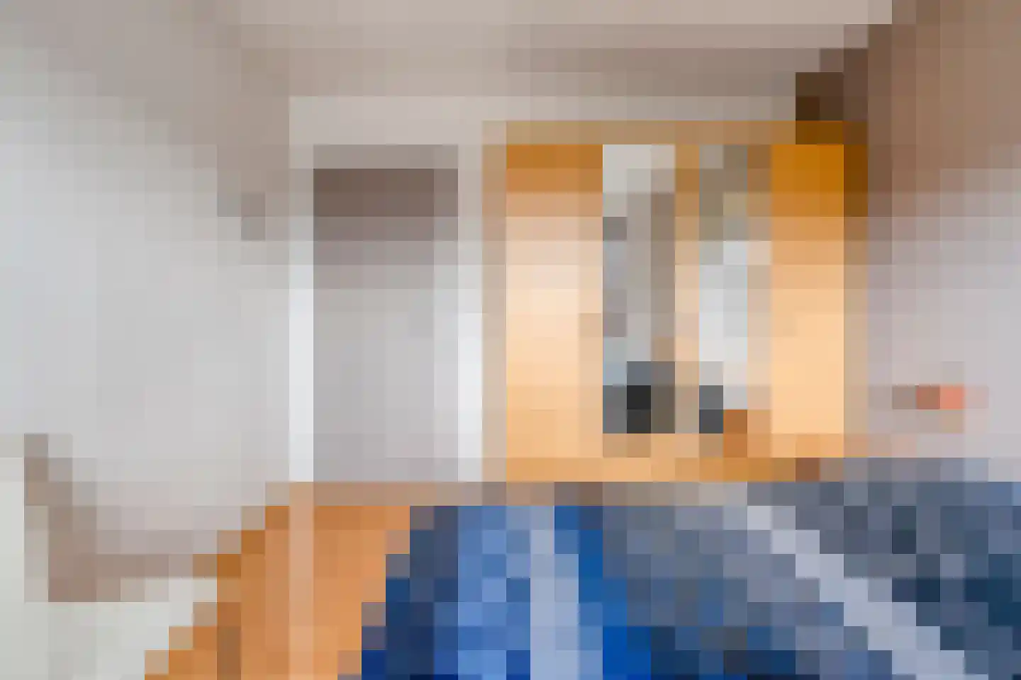 5 Meilaan 5 Zoeterwoude thumbnail 73