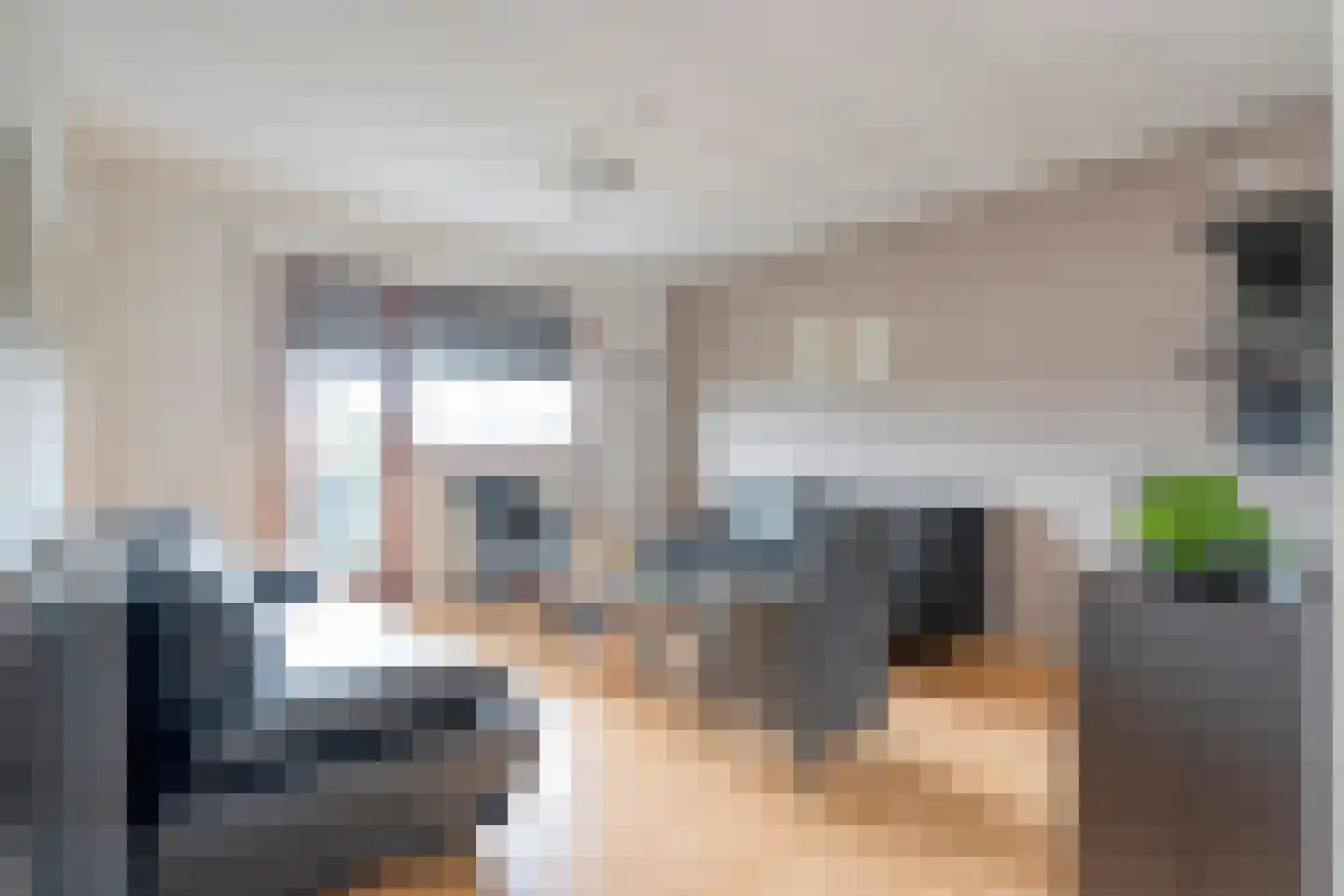 5 Meilaan 5 Zoeterwoude thumbnail 75